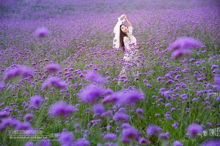 原图欣赏-太平洋摄影部落