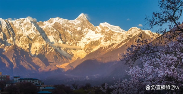 中国最美春天米林桃花节开幕式剧透抢先看