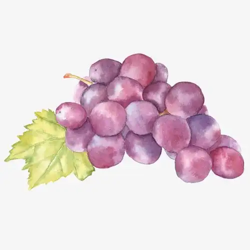 手绘晕染葡萄