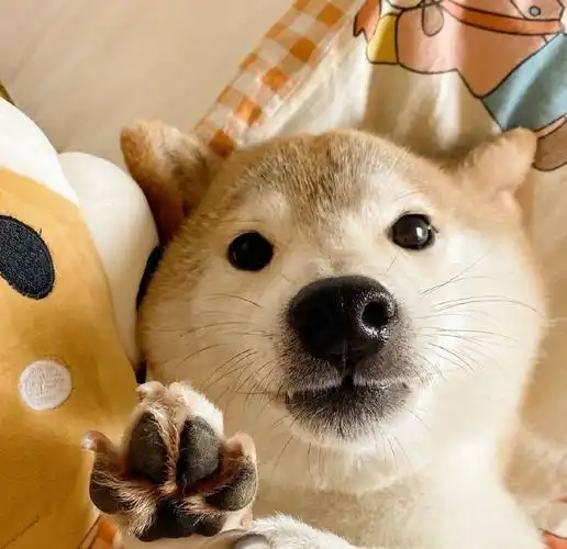 头像大全精选热门微信头像适合发圈的高情商句子