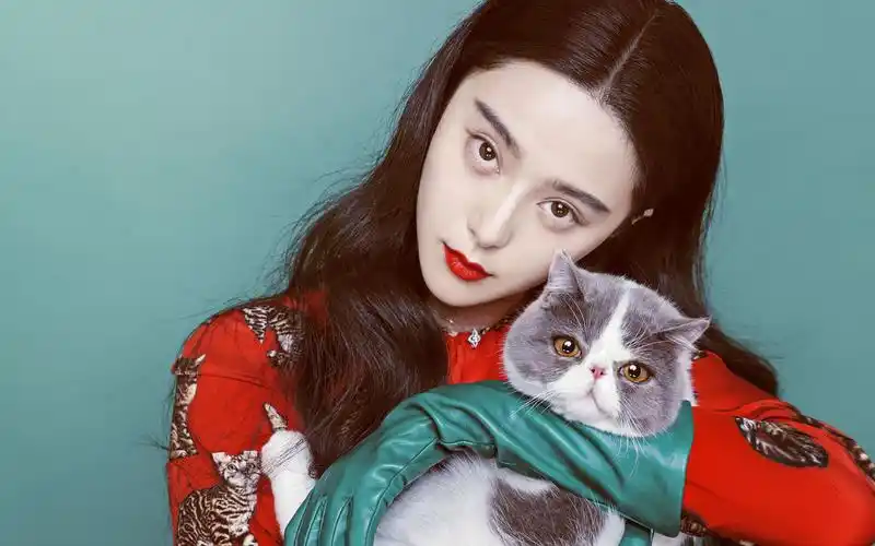 范冰冰最新写真电脑壁纸图片