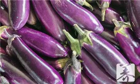 茄子怎么切长条