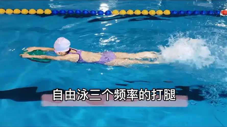 自由泳三个频率的打腿!