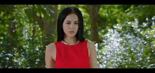 14分手大师13警察故事2013《隐私保险箱》12年《轩辕剑》按百度百科