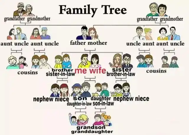 family tree家庭人物关系图(中文)