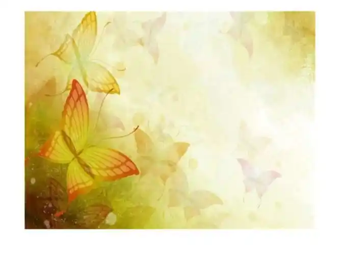 漂亮的背景图片无水印图片文字技巧制作技巧实用文档ppt课件