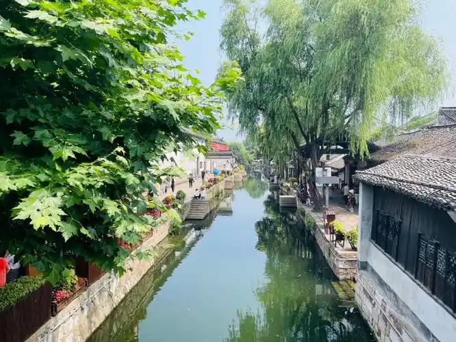 我的慢时光##江南好风光##夏天的满目翠绿##周末去哪儿##自然风光