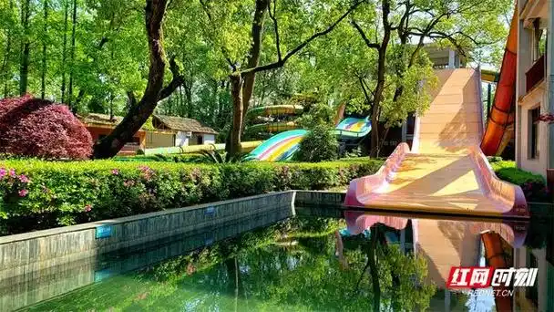 灰汤温泉紫龙湾景区"六一"迎来童趣节 森林水乐园清凉将启