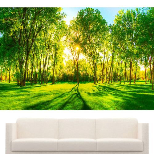 绿色树林 森林 草地公园自然风景护眼墙贴海报客厅卧室宿舍装饰画