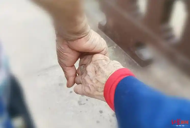 8月7日正值农历七月初七(七夕节),一段"八旬老夫妻携手散步"的视频在