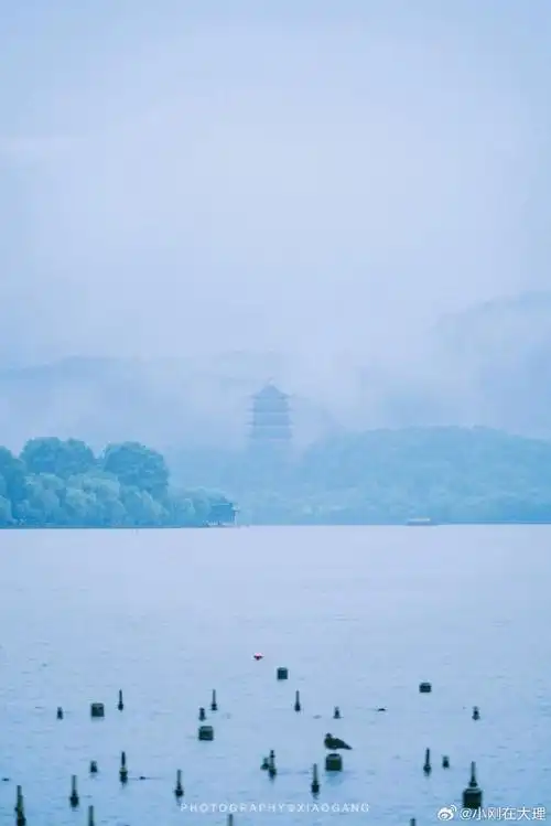 谁懂下雨天杭州西湖的魅力