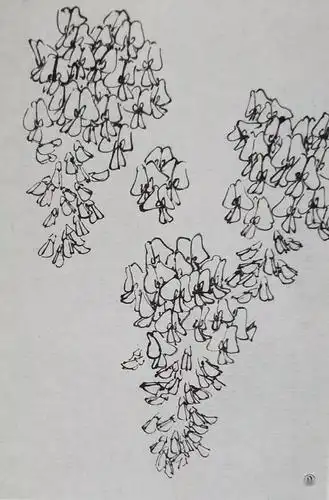 国画教程紫藤作品馥郁步骤画法