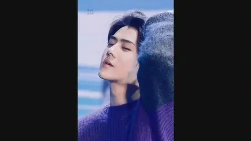 exo181220 吴世勋love shot紫毛衣直拍