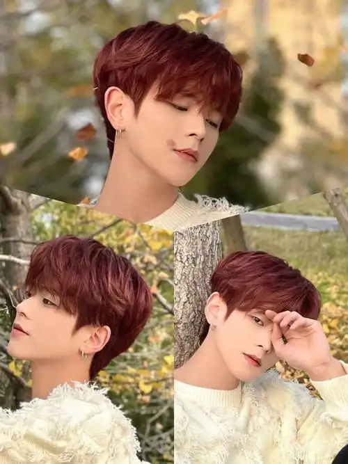 男生头发染什么色好看男生发色红棕色发色