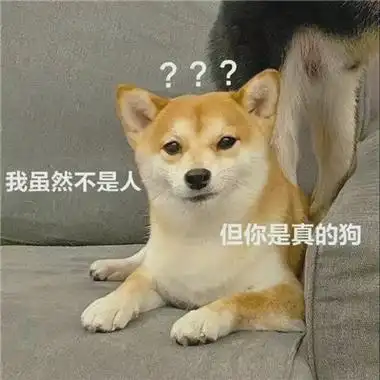 让人爆笑的沙雕表情最新