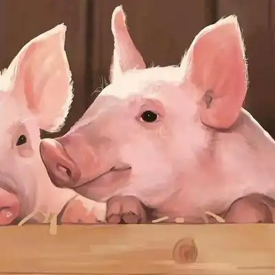 搞笑情头头像越怪越是恩爱