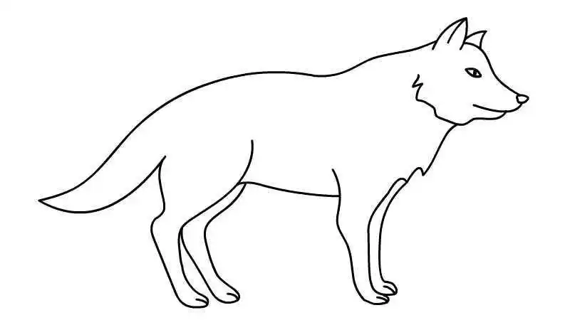狼简笔画上色 简笔画图片大全-普车都