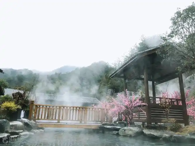 江西铜鼓汤里森林温泉田园浒村品质纯玩一日游