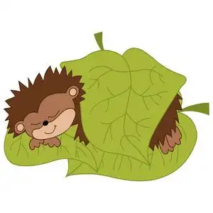 矢量可爱的卡通刺猬睡觉照片