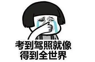 总有人考驾照从科目一到科目四每次都挂也只有这个可以救你了