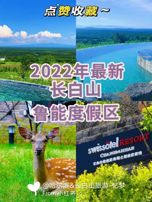 位置在海拔999米至高点  ,每一间房间天气好的话可以远观长白山