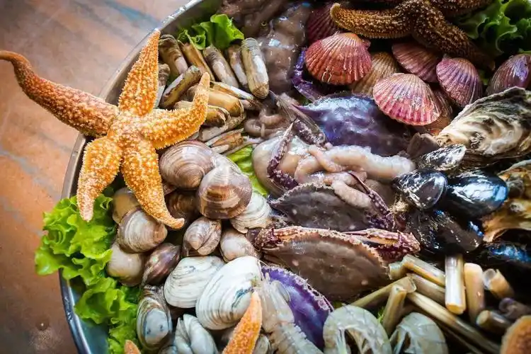 舌尖青岛 | 5折!5折!自助5折!