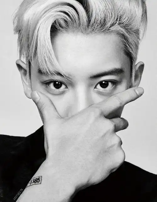 朴灿烈来告诉你什么叫做"持靓行凶"