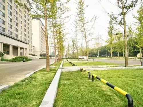 生态停车场建成效果市政广场西侧公建区在雨水花园,雨水模块位置布置