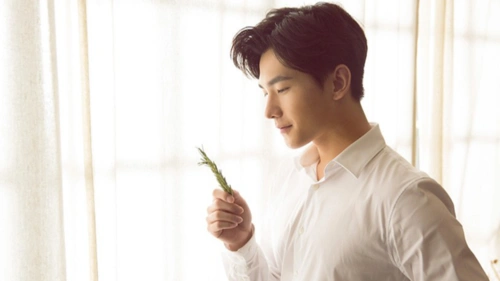 盘点几位小鲜肉男明星,颜值人气都不分上下,你最喜欢谁呢?