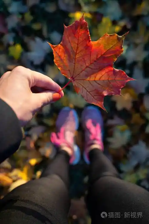 在秋天的公园里, 妇女休息和放松, 坐在一片黄色的树叶之间.