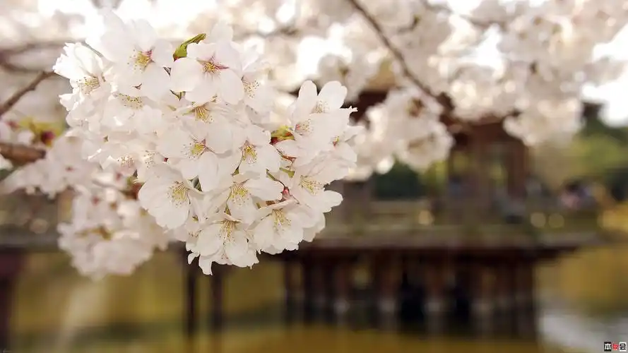 分享几张俺收集的1080p壁纸.