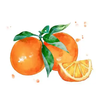 水果蔬菜手绘图片