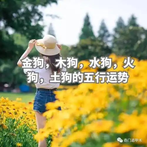 1946年出生的属狗人五行属性属什么呢?