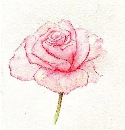 水溶彩铅 唯美 手绘 嘀咕图片@北坤人素材