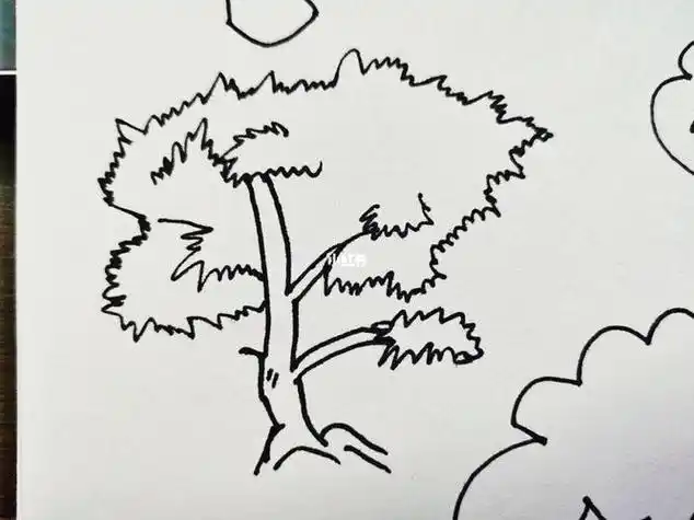 枫树简笔画枫树简笔画图片带颜色