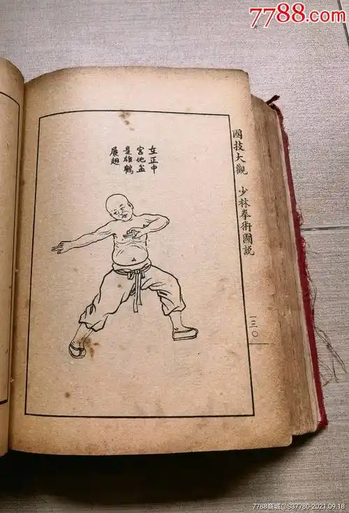 少林拳术图说拳书国技大观有破损不缺页民国18年拳书武功秘籍