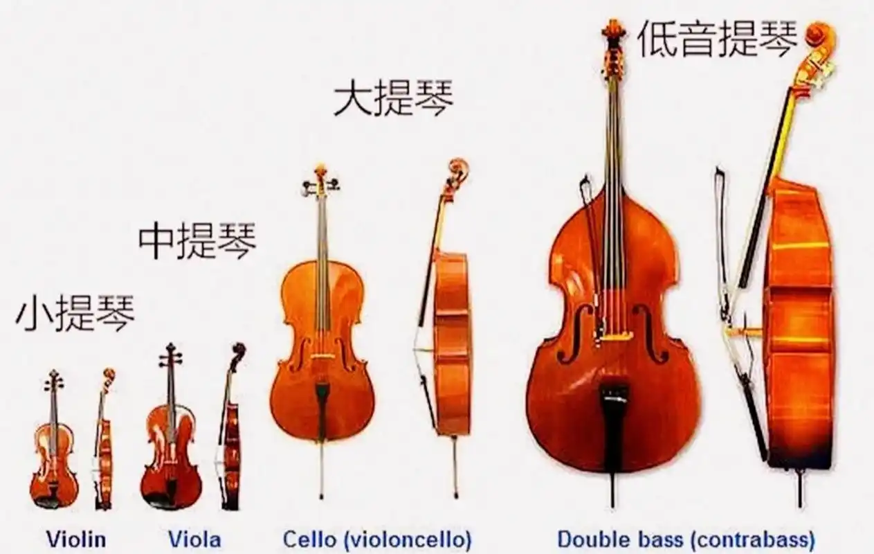 弦乐器(上) 弦乐器(the string family)          弦乐器是以琴弓磨擦
