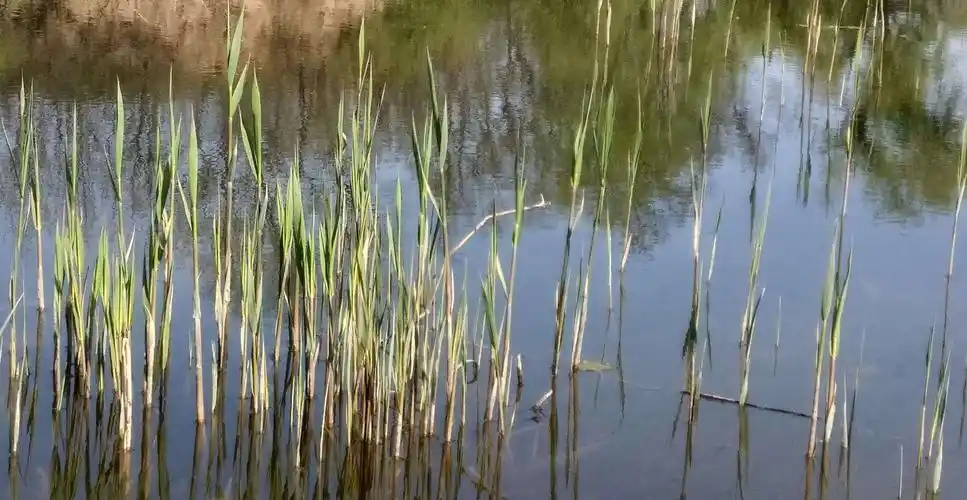 尧王东邻的美篇