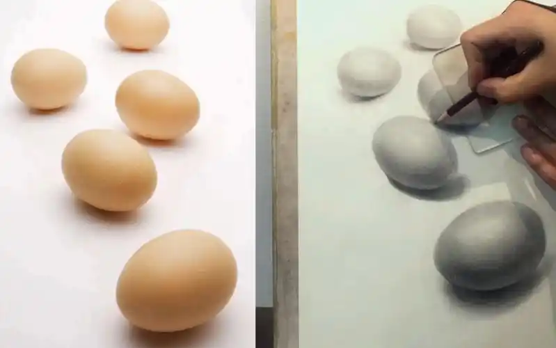 蔡海晨素描鸡蛋的画法教学