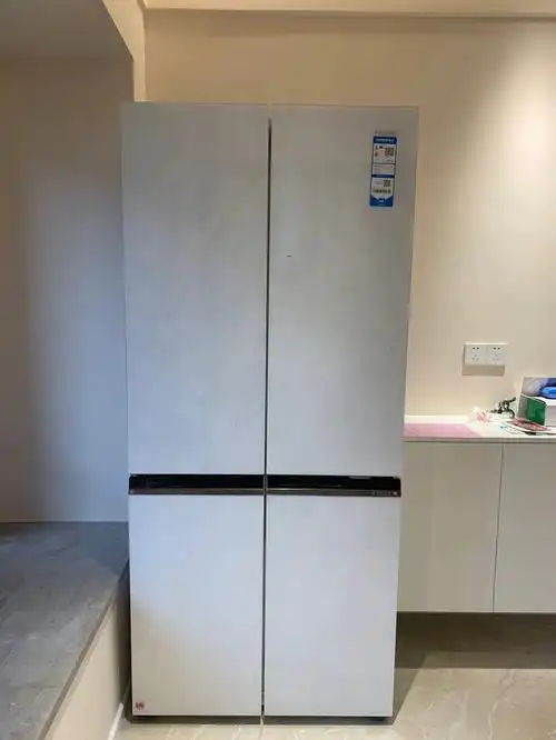 白色超薄冰箱 海尔506,我是不是要退了
