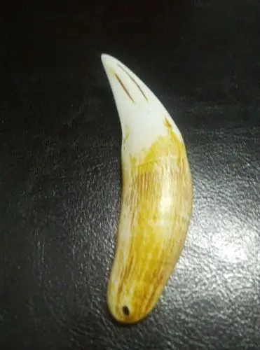 这颗清代虎牙是真品吗?值多少钱