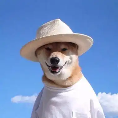 动物头像|超级萌超级可爱的萌宠小狗小猫头像 萌系超级有意思的宠物头