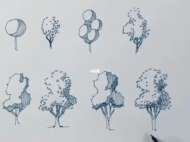 手绘  #零基础教学  #钢笔画  #简笔画  #简笔画教程  #零基础学