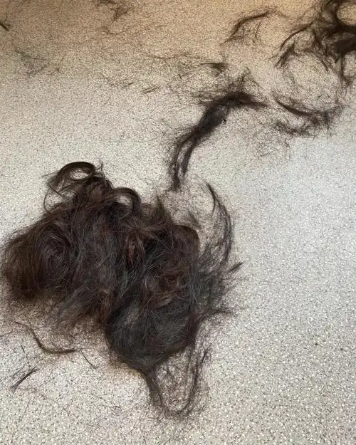 留了两年的长发剪掉了