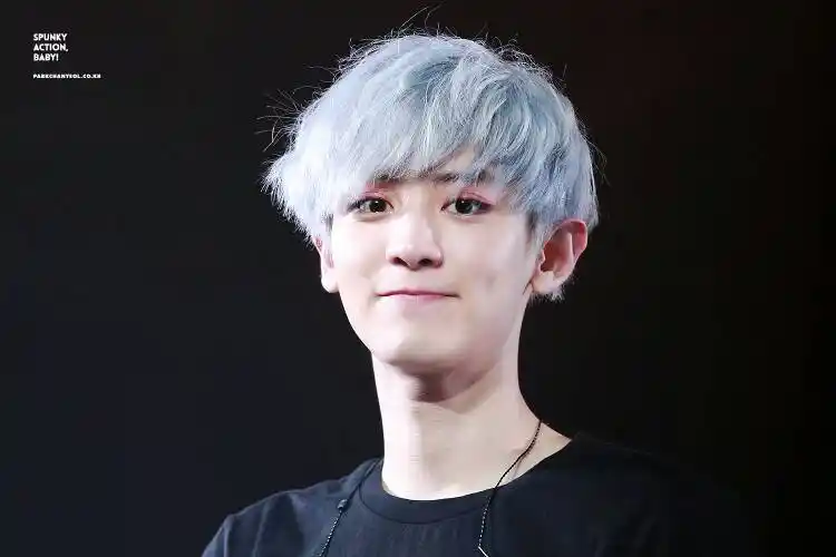 求一张朴灿烈白发抿嘴笑的图片