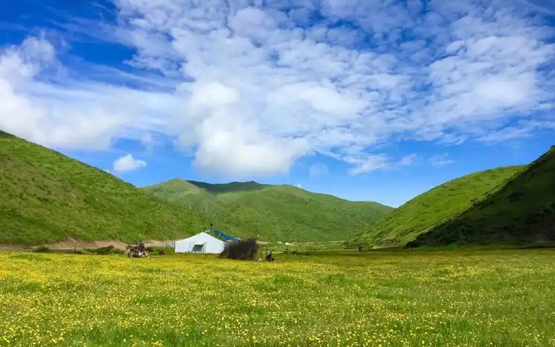 风景壁纸,绿色,唯美,护眼,高清,摄影,草原,自然风光,壁纸,1920x1200