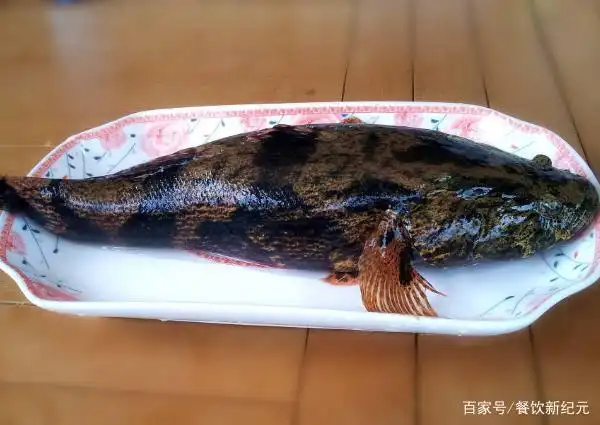 曾经大家不屑于顾,现在吃起来真香|小龙虾|牛蛙|草鱼|清蒸|笋壳_网易