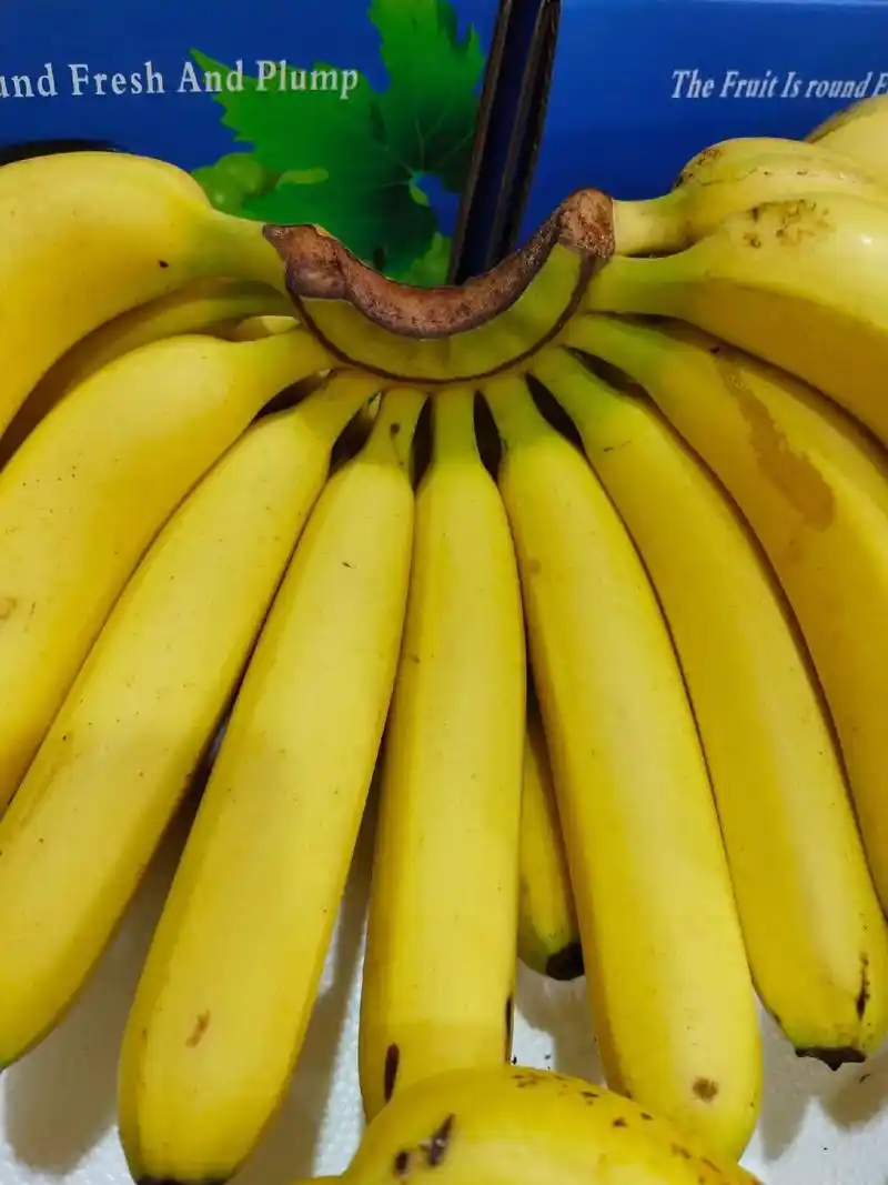 精品进口香蕉大量到货,劲爆促销 零售2.68元一斤,零售2