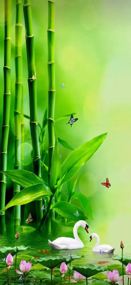 护眼屏保手机壁纸绿色(护眼壁纸手机高清绿色)