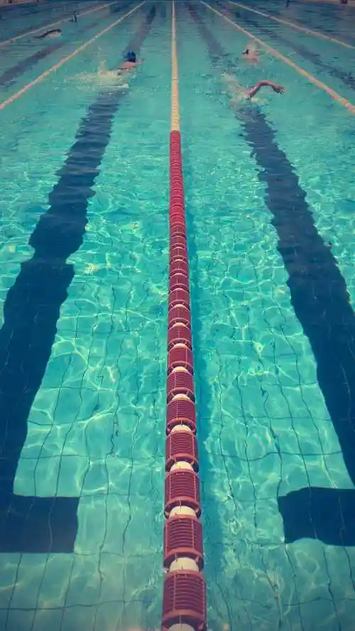 清澈干净的游泳池游泳的人素材-高清图片-摄影照片-寻图免费打包下载